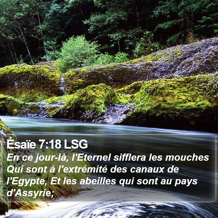 Ésaïe 7:18 LSG Bible Study