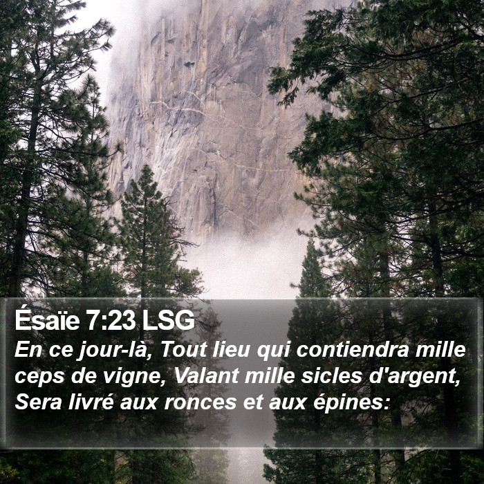 Ésaïe 7:23 LSG Bible Study