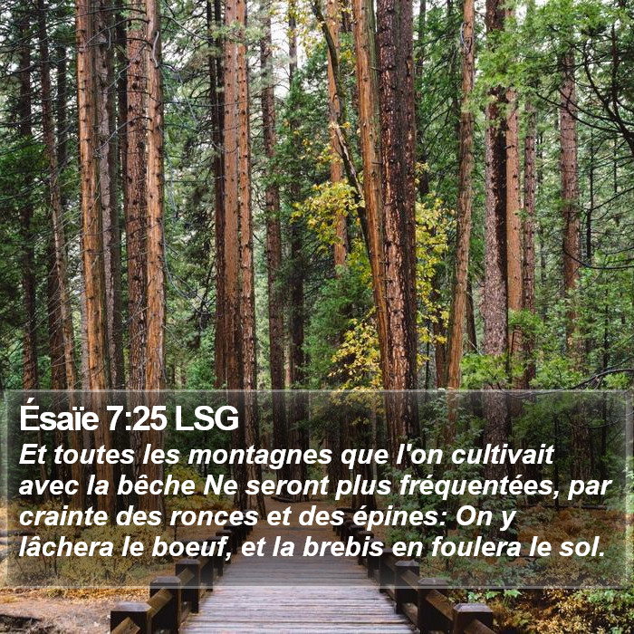 Ésaïe 7:25 LSG Bible Study