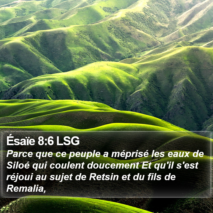 Ésaïe 8:6 LSG Bible Study