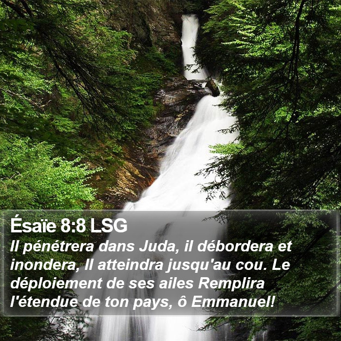 Ésaïe 8:8 LSG Bible Study