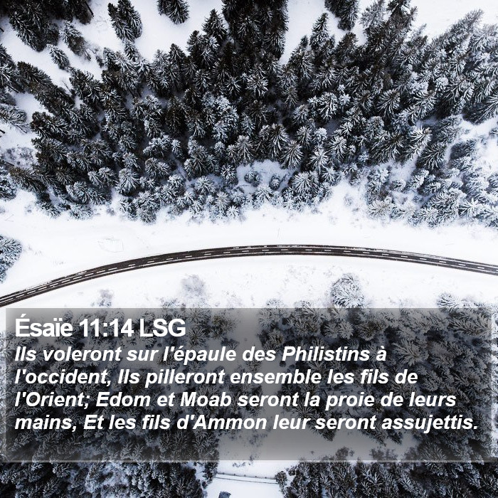 Ésaïe 11:14 LSG Bible Study