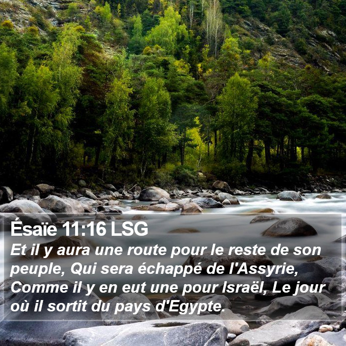 Ésaïe 11:16 LSG Bible Study