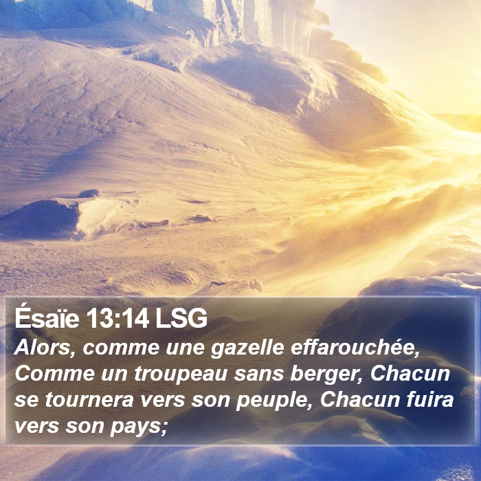 Ésaïe 13:14 LSG Bible Study