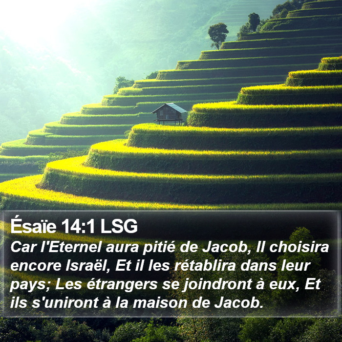 Ésaïe 14:1 LSG Bible Study