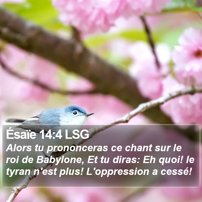 Ésaïe 14:4 LSG Bible Study