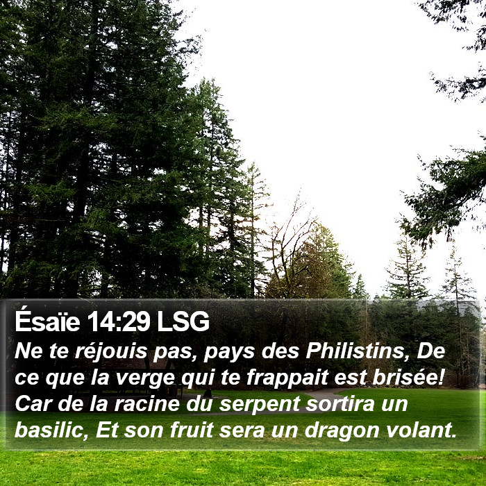 Ésaïe 14:29 LSG Bible Study