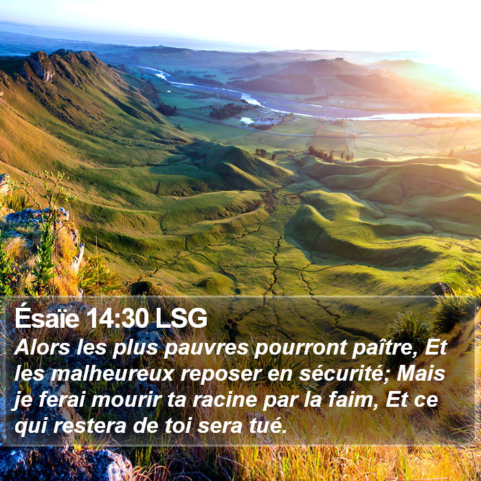 Ésaïe 14:30 LSG Bible Study