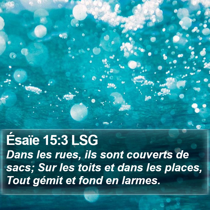 Ésaïe 15:3 LSG Bible Study