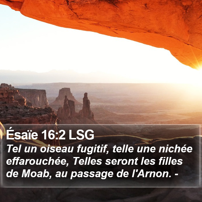 Ésaïe 16:2 LSG Bible Study