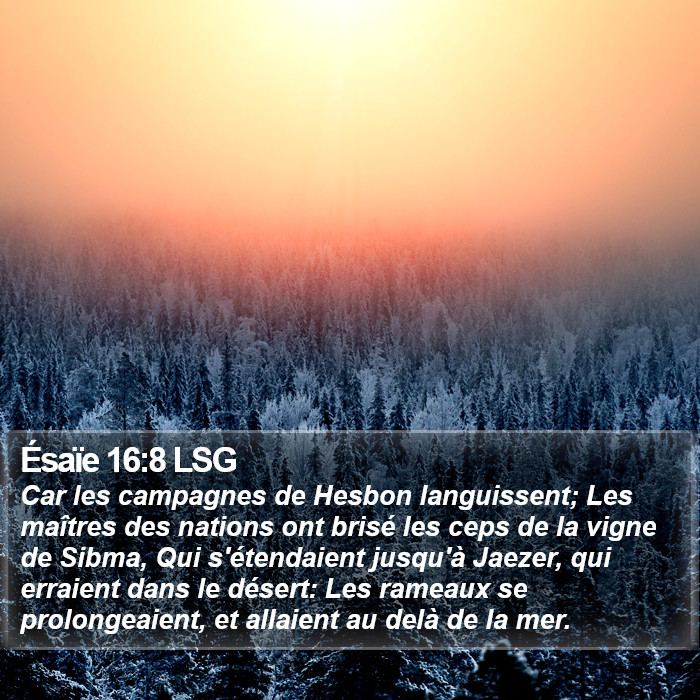 Ésaïe 16:8 LSG Bible Study