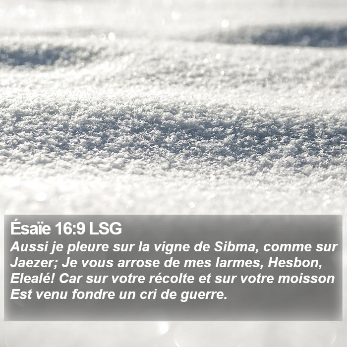 Ésaïe 16:9 LSG Bible Study