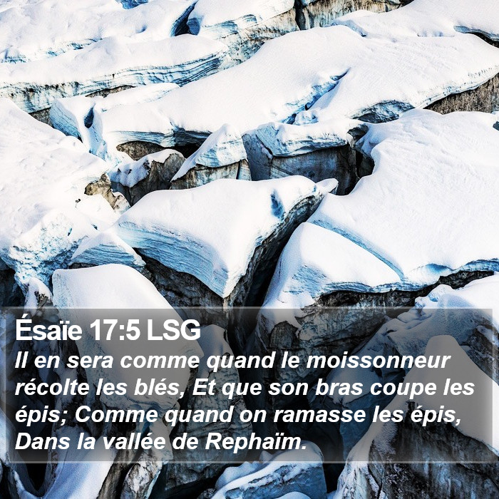 Ésaïe 17:5 LSG Bible Study