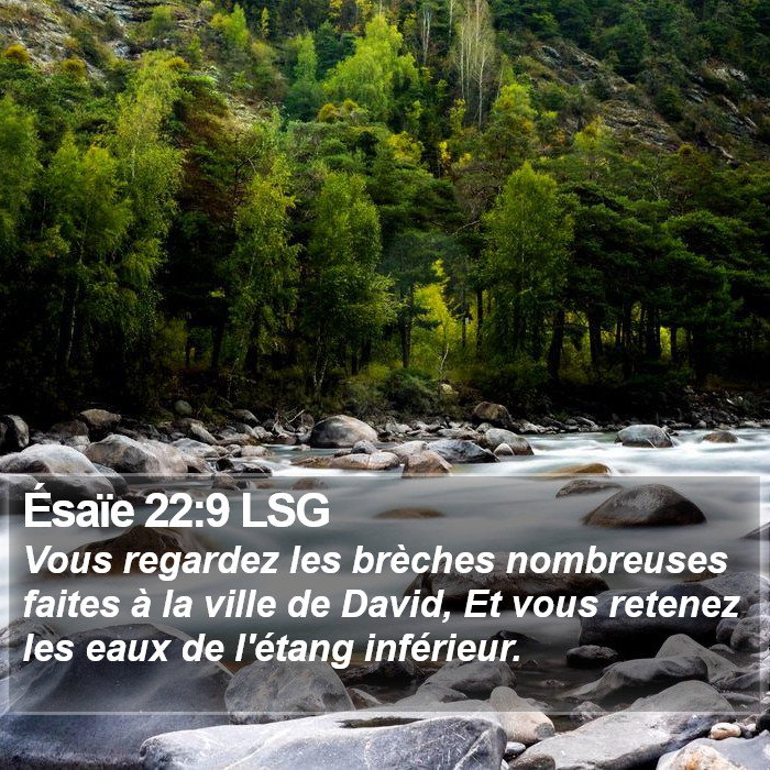 Ésaïe 22:9 LSG Bible Study