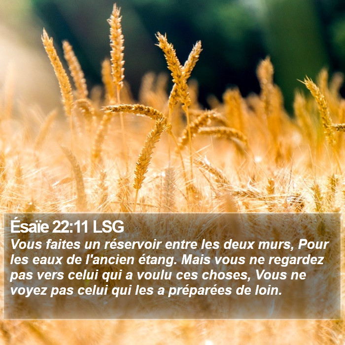 Ésaïe 22:11 LSG Bible Study