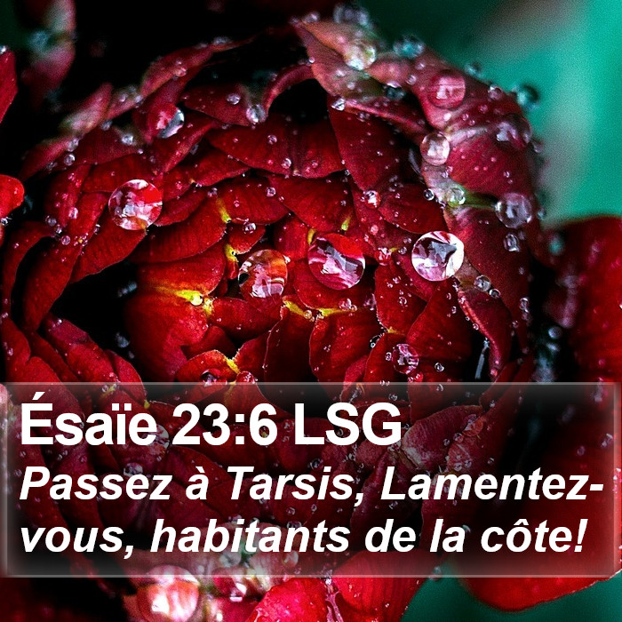 Ésaïe 23:6 LSG Bible Study