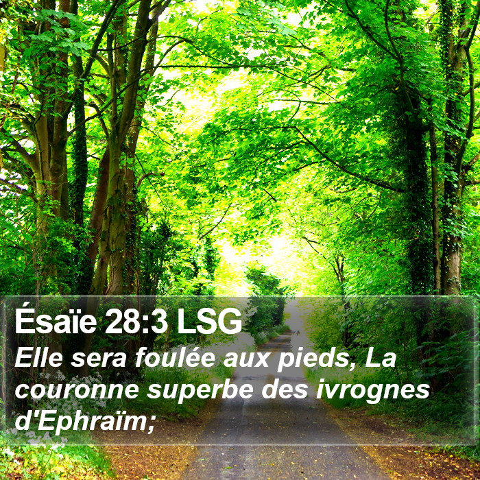 Ésaïe 28:3 LSG Bible Study