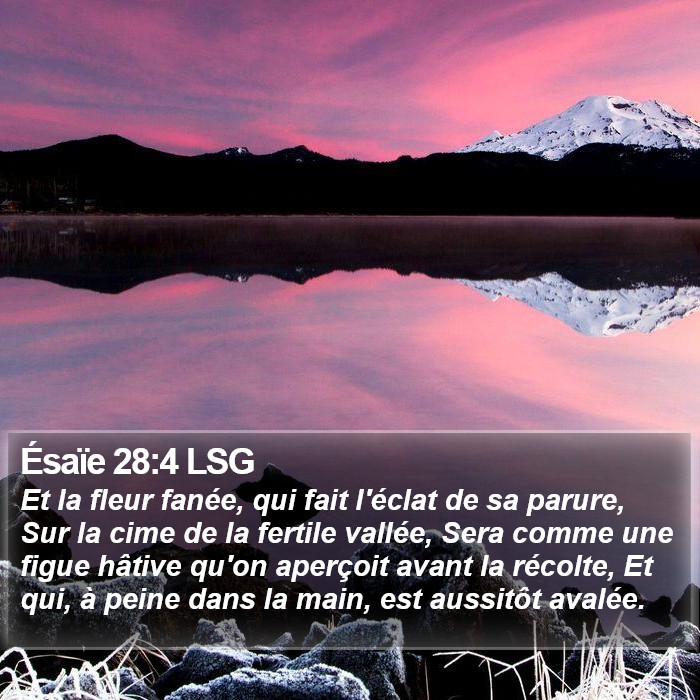 Ésaïe 28:4 LSG Bible Study