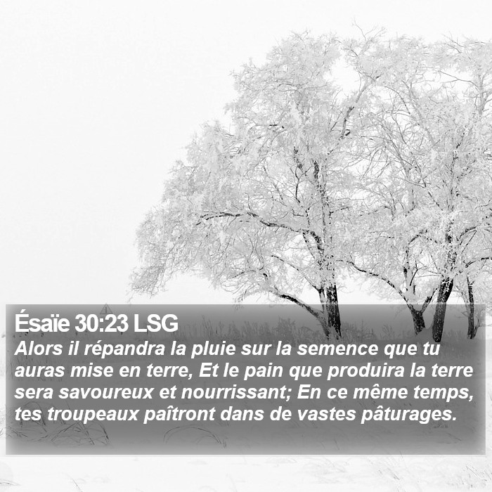 Ésaïe 30:23 LSG Bible Study