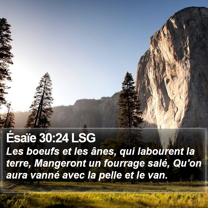 Ésaïe 30:24 LSG Bible Study