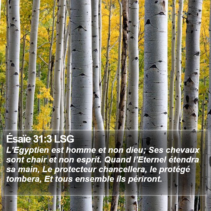 Ésaïe 31:3 LSG Bible Study