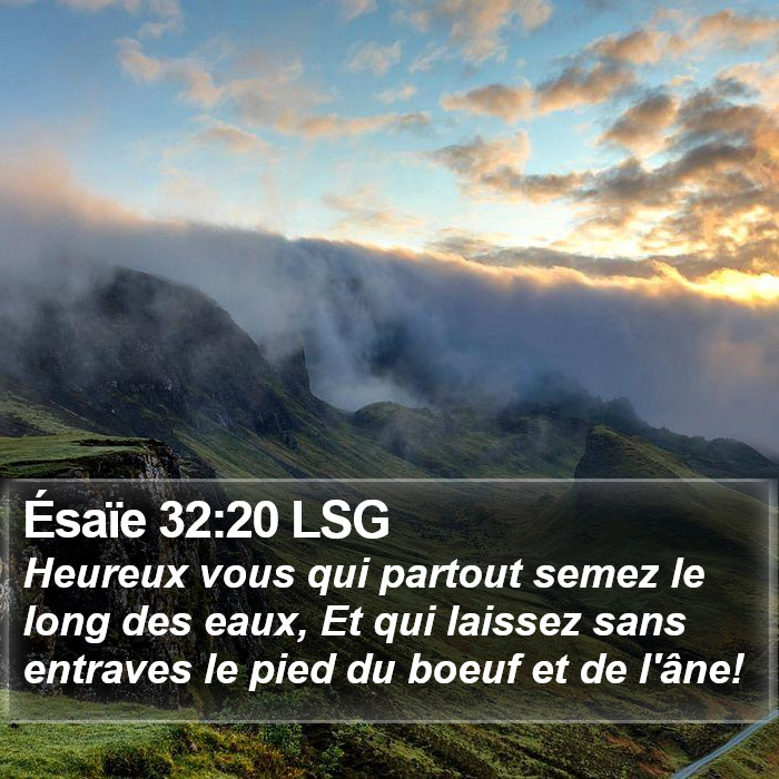 Ésaïe 32:20 LSG Bible Study