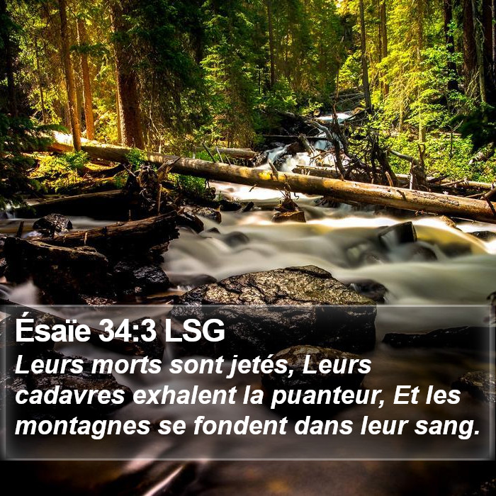 Ésaïe 34:3 LSG Bible Study