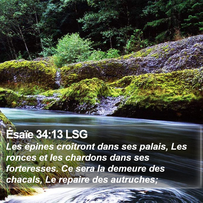 Ésaïe 34:13 LSG Bible Study