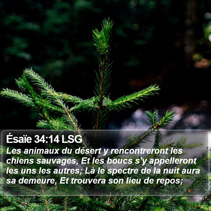 Ésaïe 34:14 LSG Bible Study