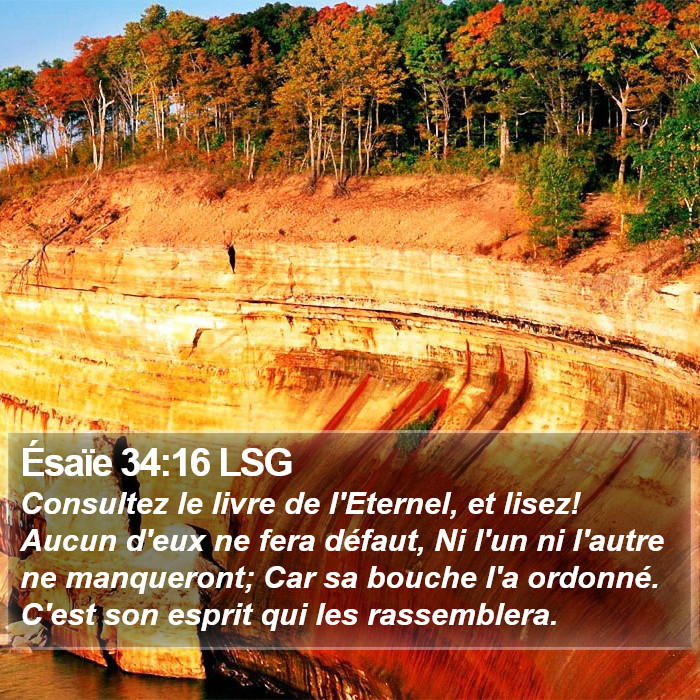 Ésaïe 34:16 LSG Bible Study