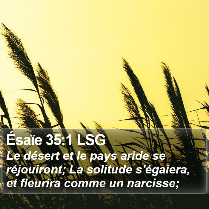 Ésaïe 35:1 LSG Bible Study