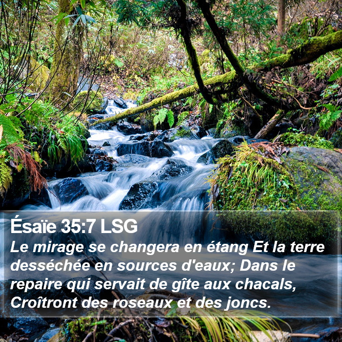 Ésaïe 35:7 LSG Bible Study