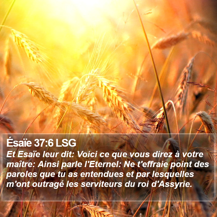 Ésaïe 37:6 LSG Bible Study