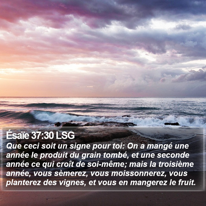 Ésaïe 37:30 LSG Bible Study