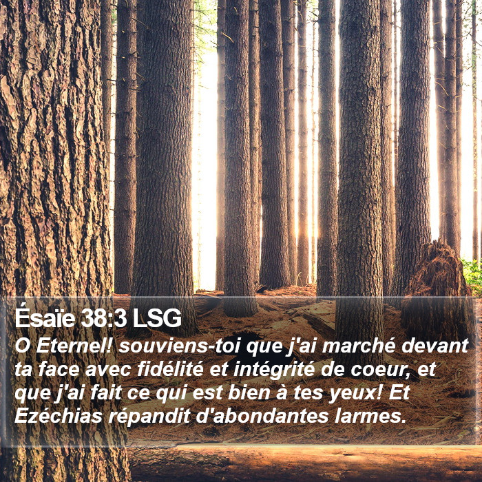 Ésaïe 38:3 LSG Bible Study