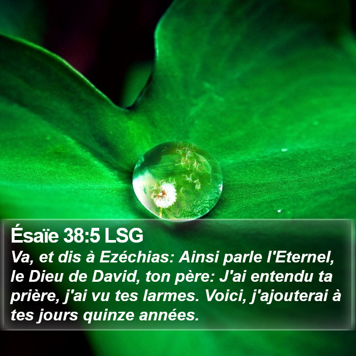 Ésaïe 38:5 LSG Bible Study