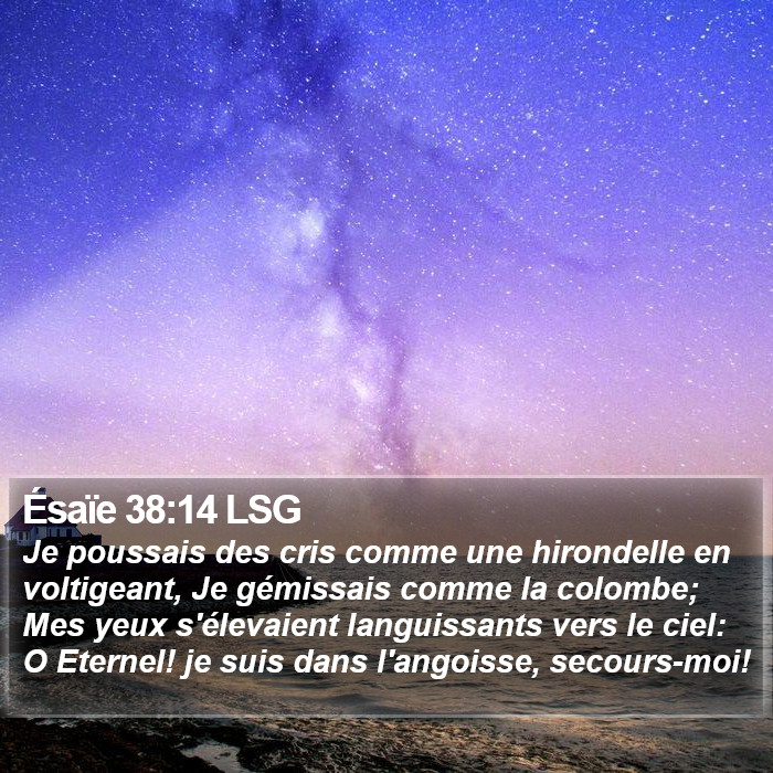 Ésaïe 38:14 LSG Bible Study