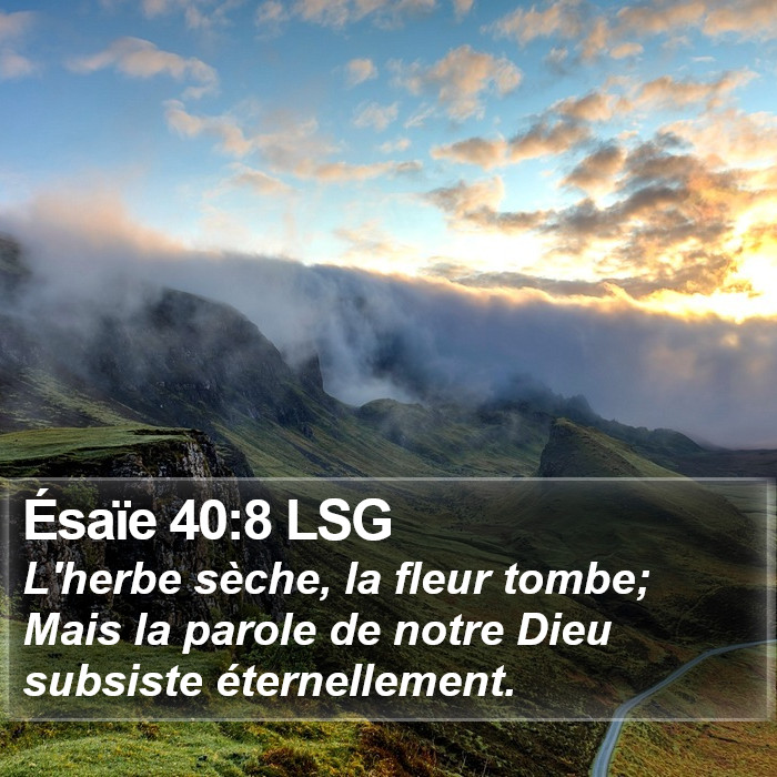 Ésaïe 40:8 LSG Bible Study