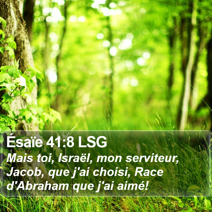 Ésaïe 41:8 LSG Bible Study