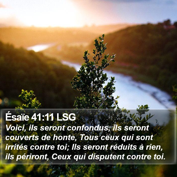 Ésaïe 41:11 LSG Bible Study