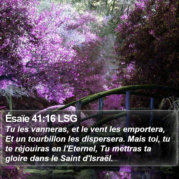 Ésaïe 41:16 LSG Bible Study