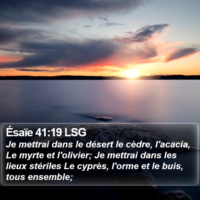 Ésaïe 41:19 LSG Bible Study