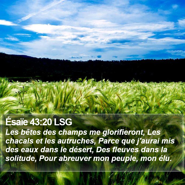 Ésaïe 43:20 LSG Bible Study