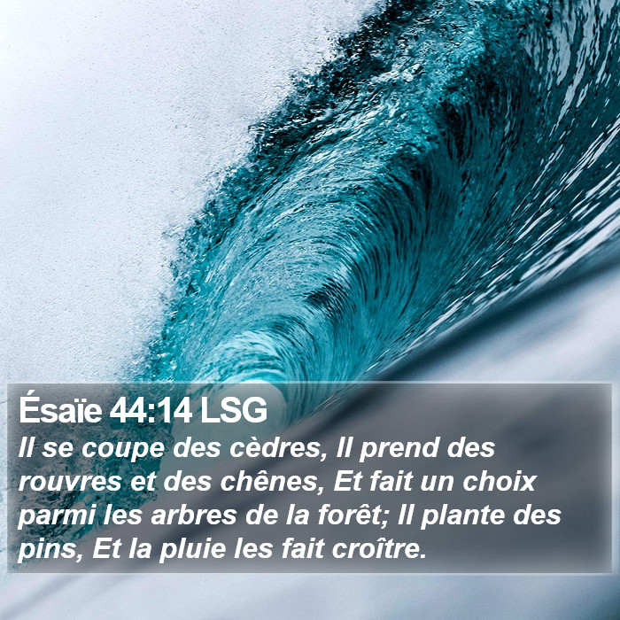 Ésaïe 44:14 LSG Bible Study