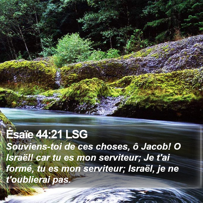 Ésaïe 44:21 LSG Bible Study