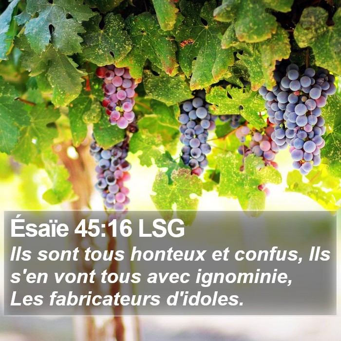 Ésaïe 45:16 LSG Bible Study