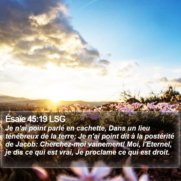 Ésaïe 45:19 LSG Bible Study