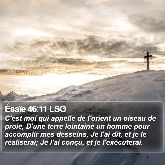 Ésaïe 46:11 LSG Bible Study