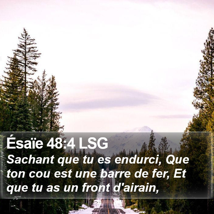 Ésaïe 48:4 LSG Bible Study