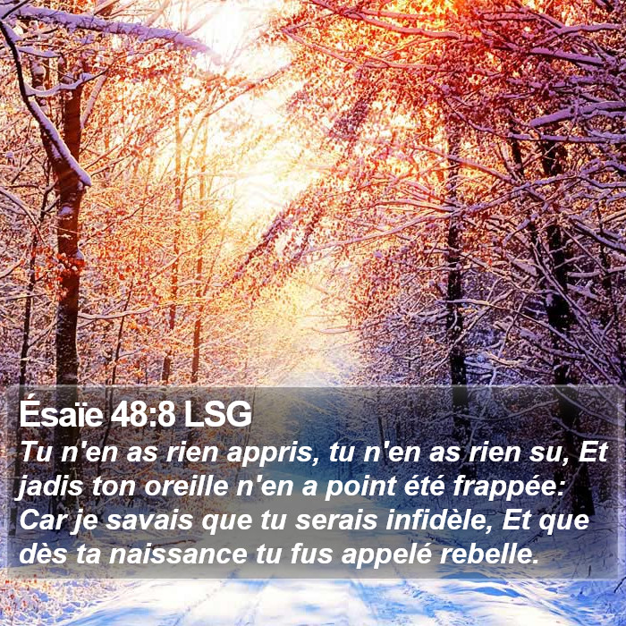 Ésaïe 48:8 LSG Bible Study